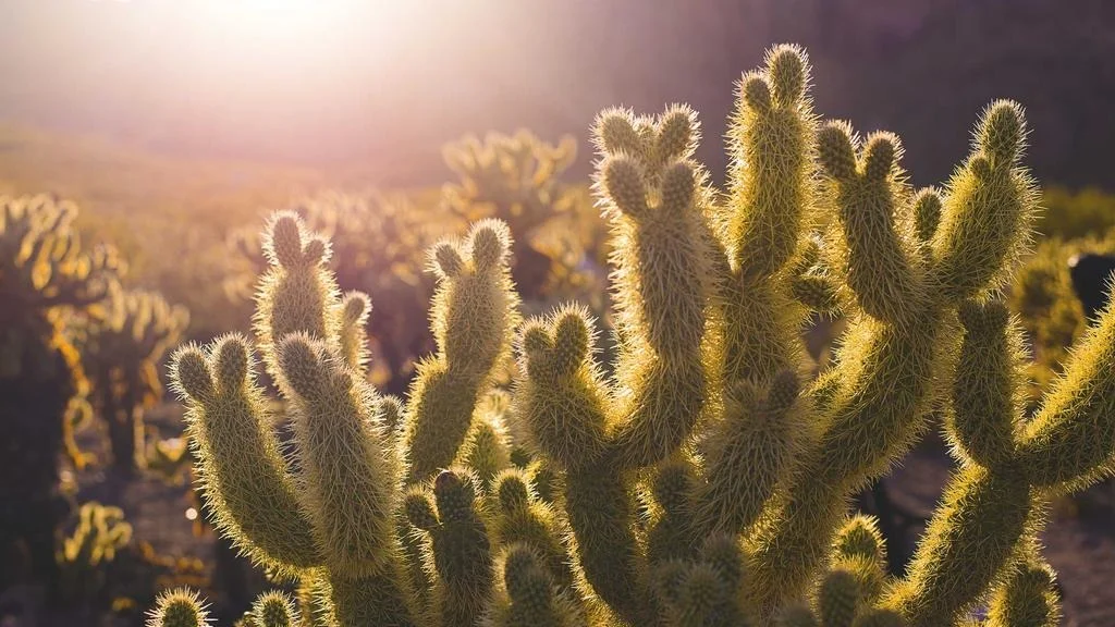 다주택자 대출 갈아타기 방법 비교