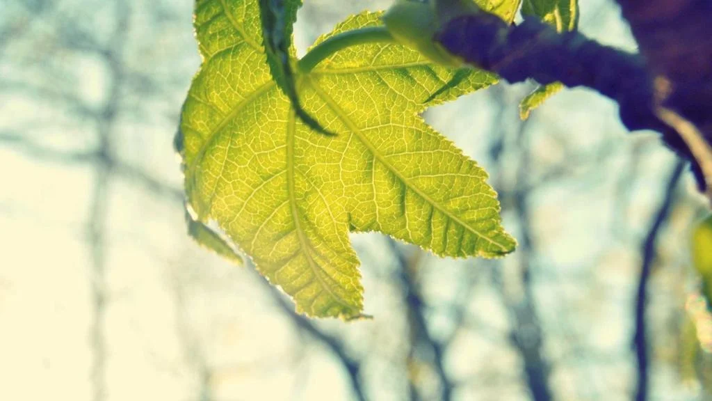 [2026 최신] 미분양 아파트 할인 분양 찾는 방법 실제 경험담 (2026년 전략)