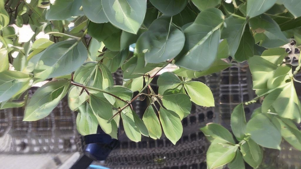 주말 아침, 햇살 가득한 한국 가정집 식탁 위에 차려진 풍성하고 먹음직스러운 브런치 플레이트