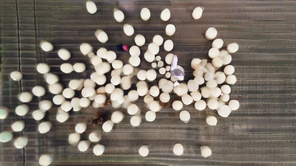 한국의 양평에 위치한 통창 뷰 카페 내부, 창밖으로 푸른 숲이 보이는 모습