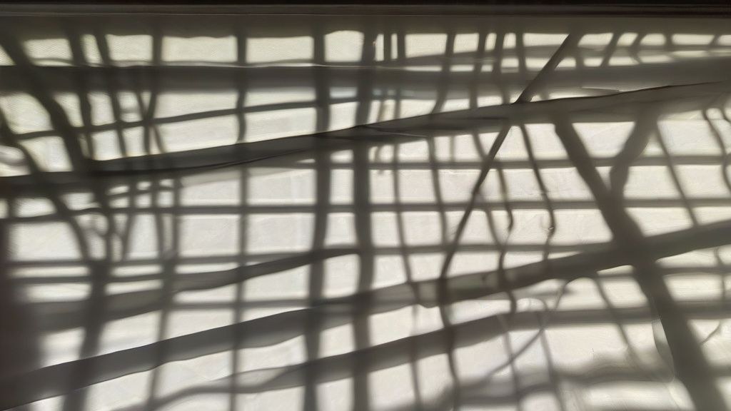 한국의 인기 베이커리 고래빵집의 진열대에 놓인 앙버터빵과 소금빵