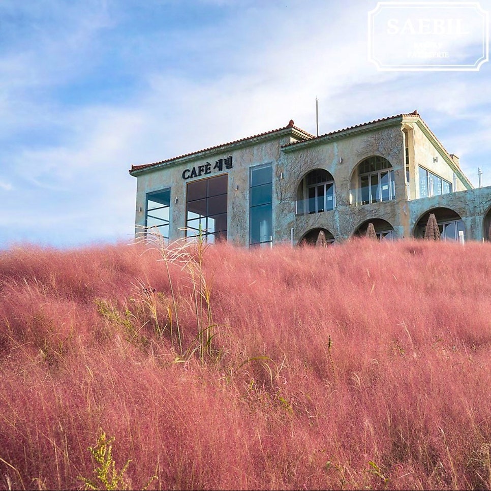 따뜻한 햇살이 비치는 제주 카페 창가에 놓인 제주 감귤 에이드와 디저트. 뒤로 흐릿하게 바다가 보인다.