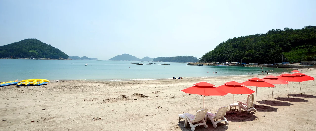 한국 식당 테이블 위에 놓인 김이 모락모락 나는 신선한 굴구이 냄비와 갓김치 접시