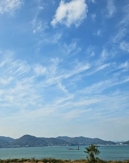한국 식당의 정갈한 멸치쌈밥 정식 한 상 차림, 뚝배기에 담긴 빨간 멸치조림과 다양한 쌈 채소가 놓인 모습
