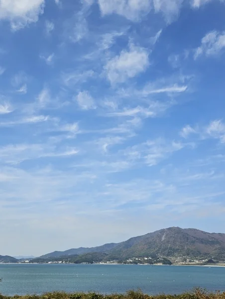 한국의 현대적인 식당 내부, 나무 테이블 위에 놓인 신선한 멸치회무침과 쌈 채소 플랫레이