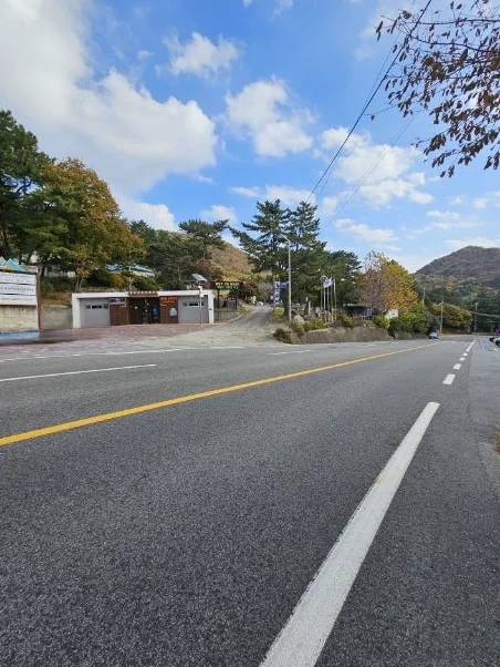 한국인 30대 여성이 상추 위에 멸치조림과 쌈장을 올려 크게 쌈을 싸는 손 모습