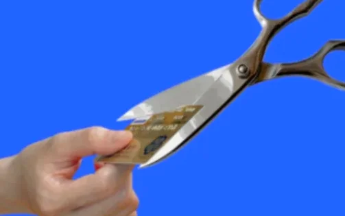 농민백암순대 시청직영점 한식 사진