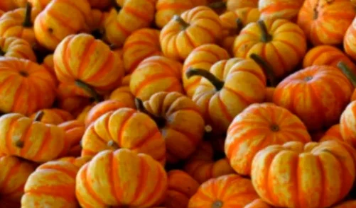 한국의 모던한 브런치 카페 테이블, 하얀 접시에 담긴 노란 수란의 에그 베네딕트와 신선한 샐러드, 아이스 아메리카노가 놓인 항공샷