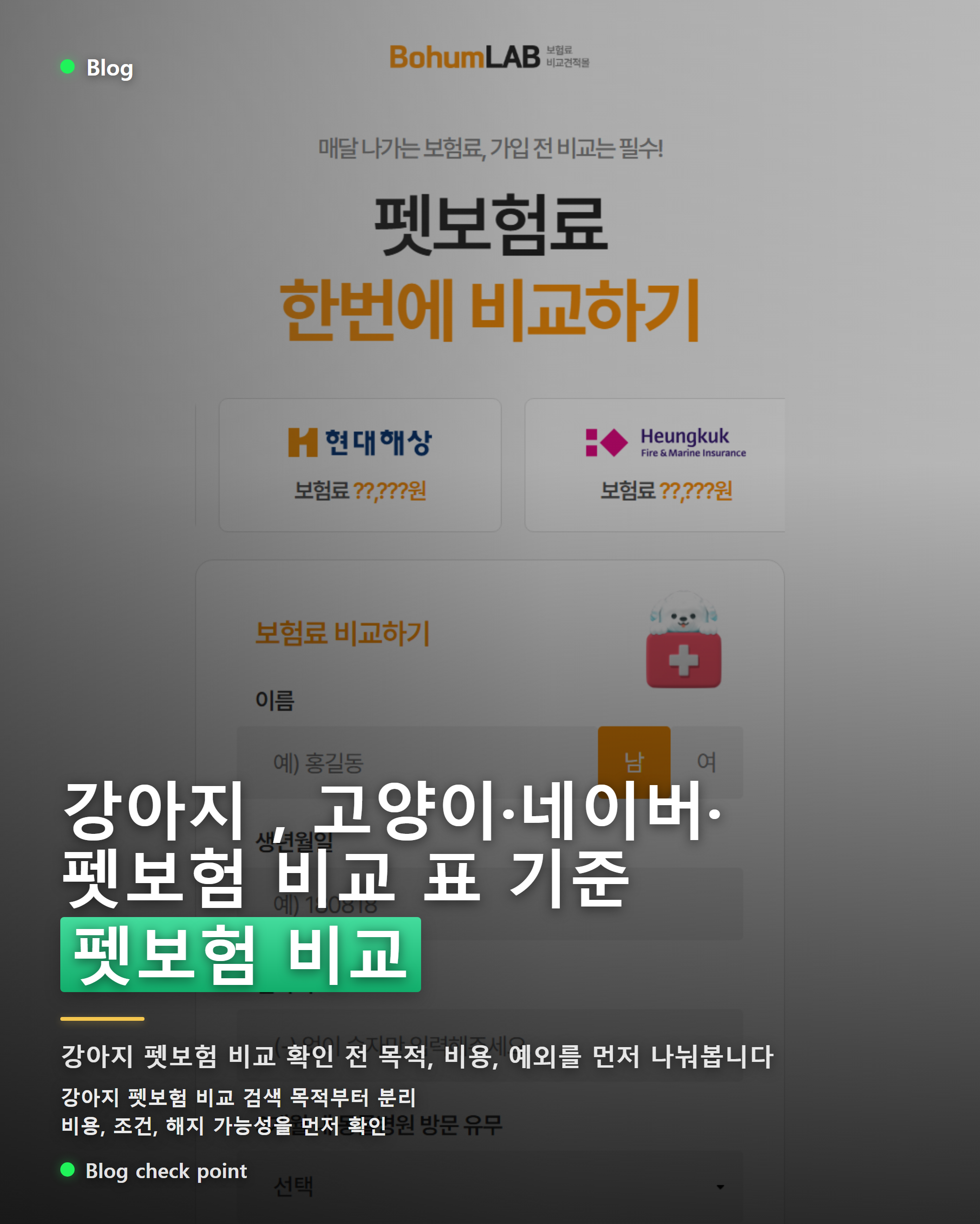 강아지 펫보험 비교, 고양이·네이버·펫보험 비교 표 기준 모바일 카드뉴스 이미지
