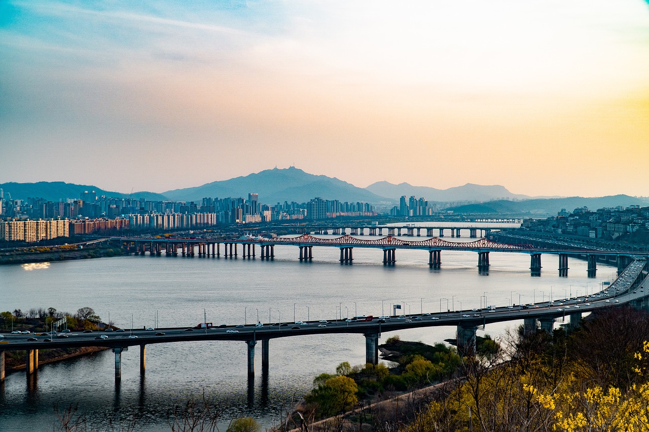 서울 하늘공원 억새축제