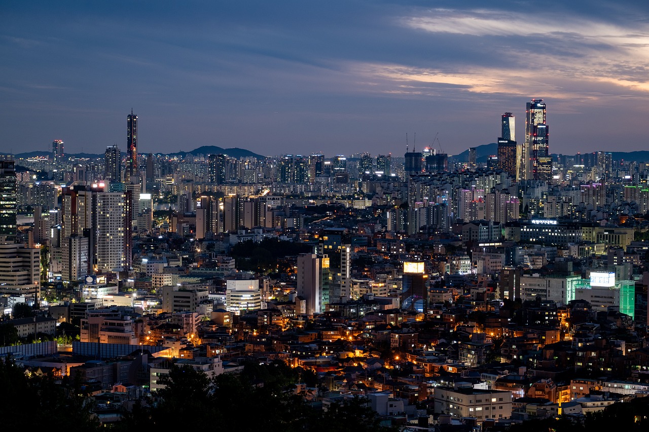 서울 하늘공원 억새축제