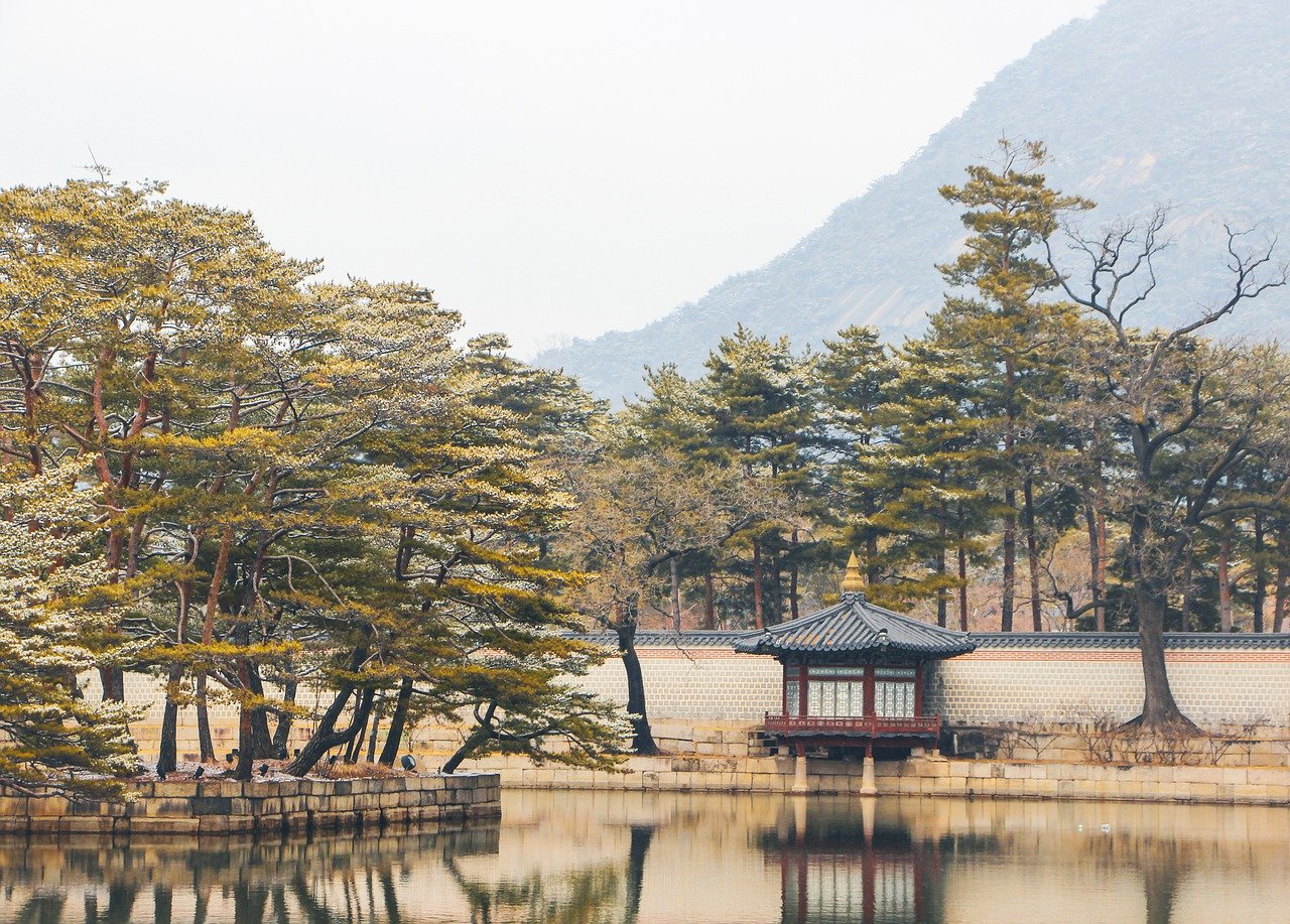 서울대 로고